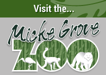 Visit Micke Grove Zoo