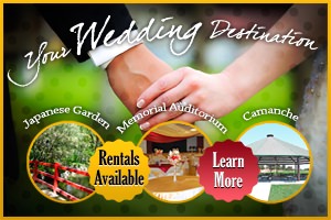 Your Wedding Destination - Rentals Available - Learn More