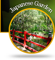 Japanes Garden