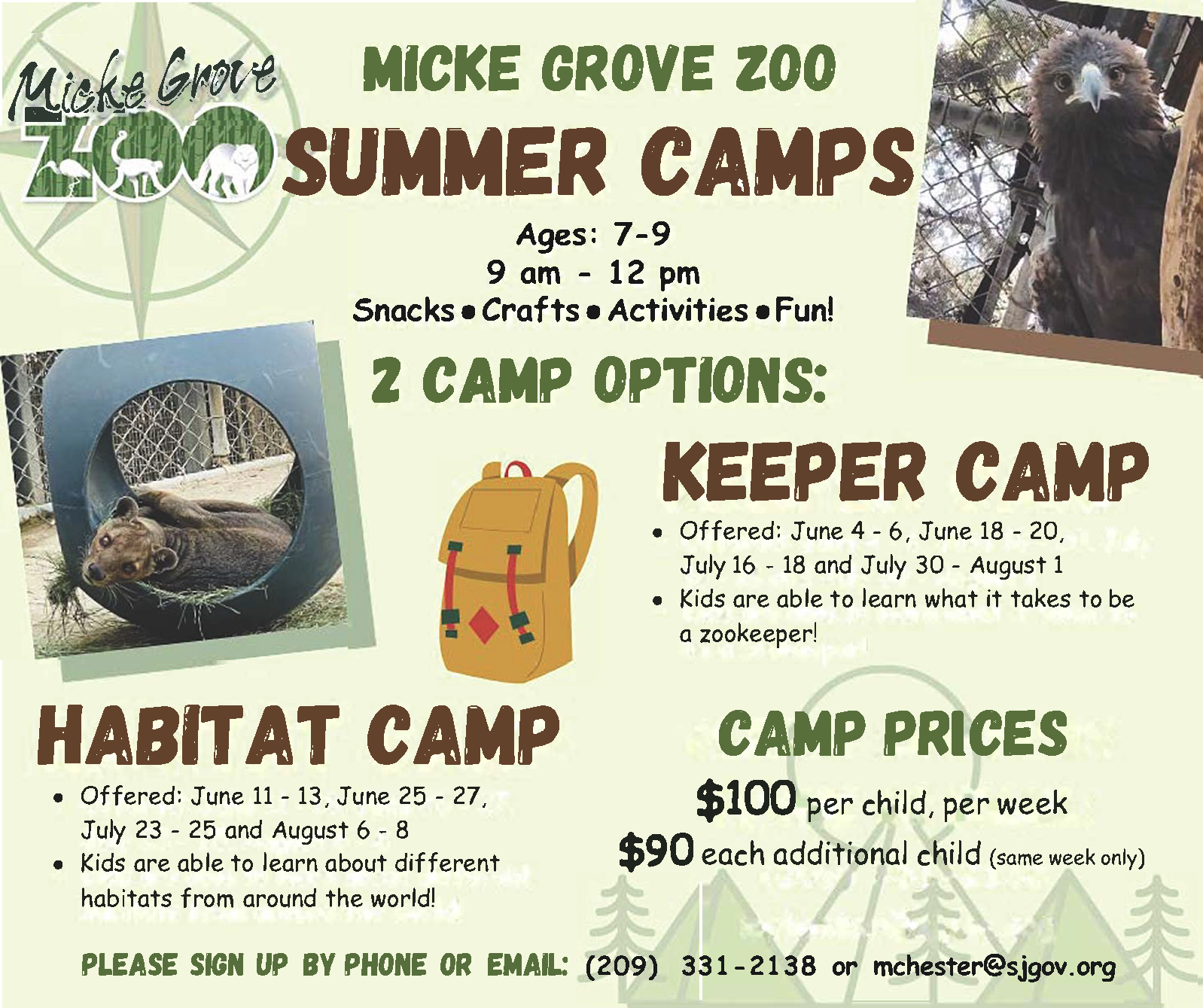 Summer Camps 2025