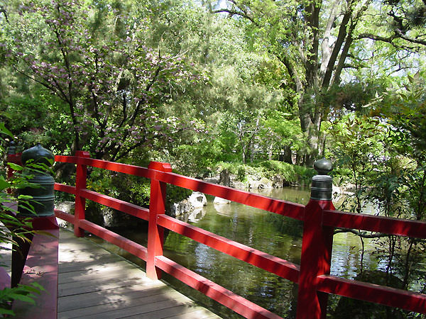 The Japanese Garden Bridge